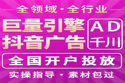 搜索引擎营销（SEM）的投放策略与效果评估——以某行业领先企业的案例分析
